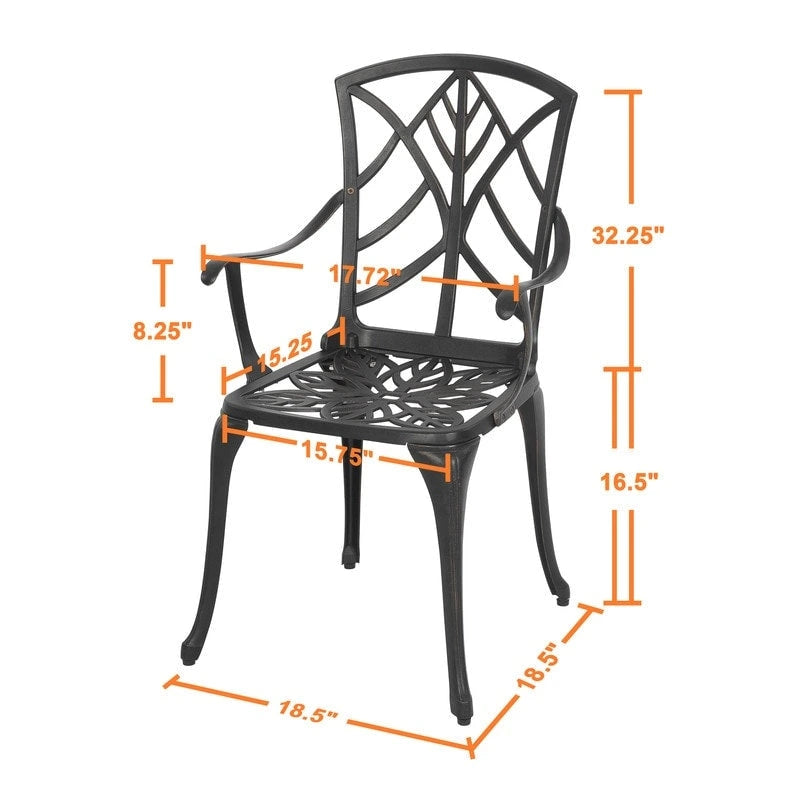 Outdoor 2-Piece Patio Chair Set, Cast Aluminum, Black with Gold-painted Edge