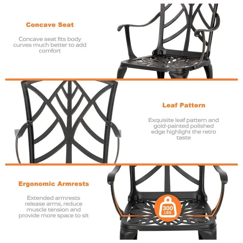 Outdoor 2-Piece Patio Chair Set, Cast Aluminum, Black with Gold-painted Edge